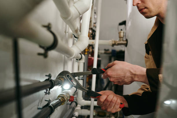 Best Local Plumber Services  in West Burlington, IA